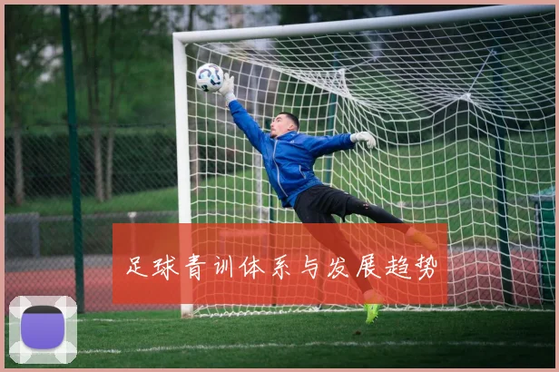 足球青训体系与发展趋势